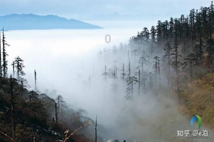 五台山是佛教还是道教?-最新、最热、最有趣的红迪网平台