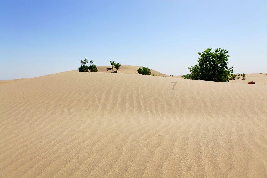 虫虫助手下载
